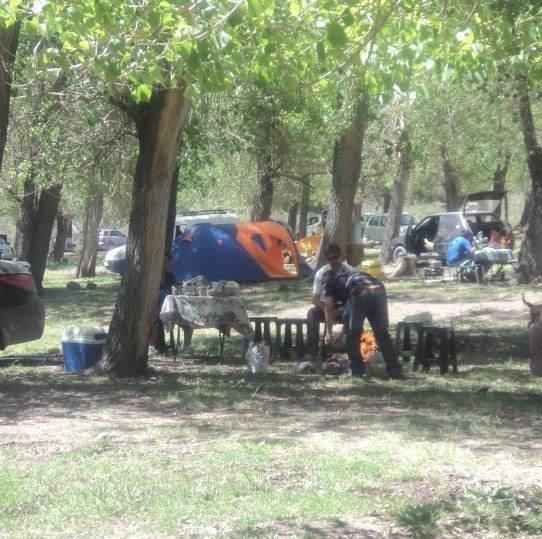 Fotografía 2 de Camping Valle del Bosque en Cajon del Maipo, Metropolitana