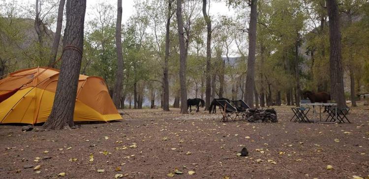 Fotografía 7 de Camping Valle del Bosque en Cajon del Maipo, Metropolitana