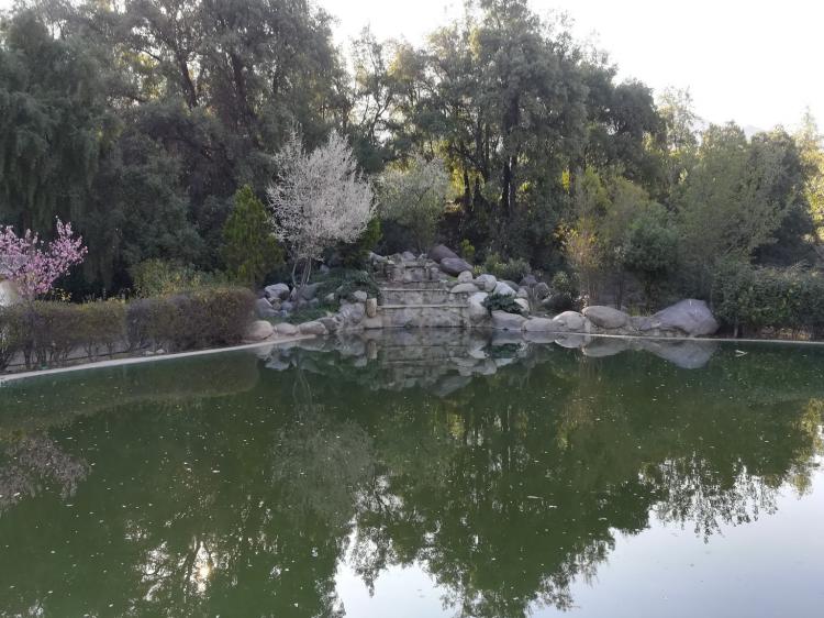 Fotografía 13 de Camping la Isla (Fundo El Toyo) en Cajon del Maipo, Metropolitana