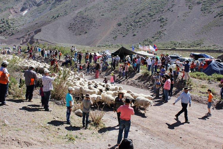 Fiesta de la Esquila en Cajon del Maipo, Metropolitana