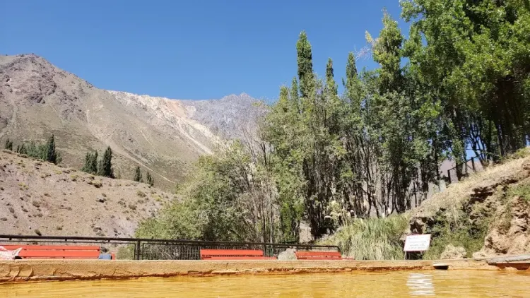 Piscina termal frente a árboles y laderas cordilleranas